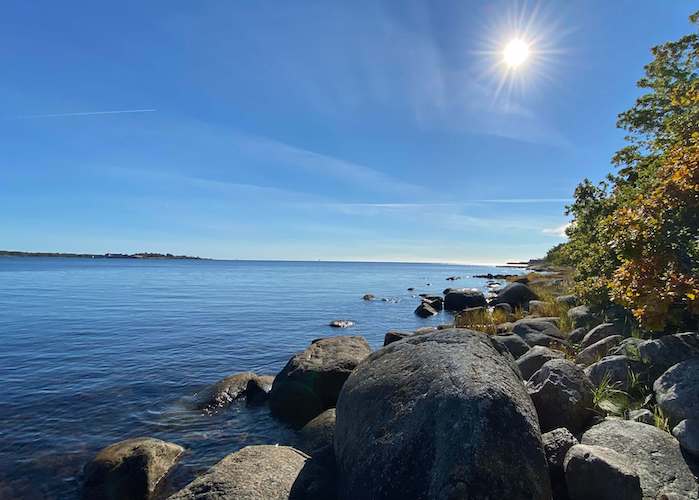 Strandkanten på aspö